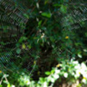 Meet your Posher, Sophia